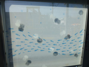 窓のクラゲがロールスクリーンに映り込んで幻想的に